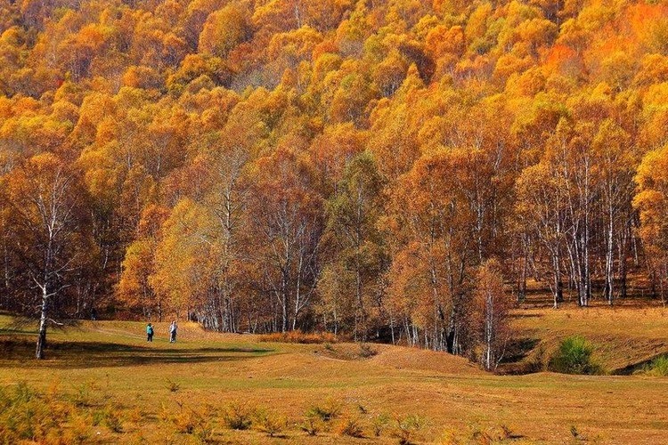 【遇见内蒙·北境穿越9日】赤峰+大青山+乌兰布统+公主湖+影视基地+甘丹驼城+勃隆克沙漠+玉龙沙湖+鄂温克驯鹿园+热阿线+黄岗梁+蒙古汗城+阿斯哈图石林+达达线+达理湖+避暑山庄+99号公路+大青山+金山岭长城+休闲纯玩9日游！