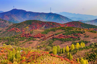 【北京一周一山·舞彩浅山】初级丨9公里徒步丨五彩浅山步道+赏红叶满山+寻五色金秋~