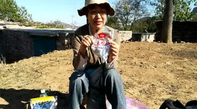 王硇村挂壁公路栾卸村银杏林