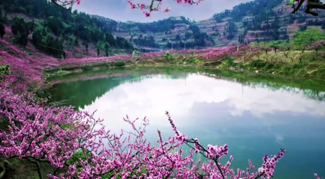龙泉山森林公园