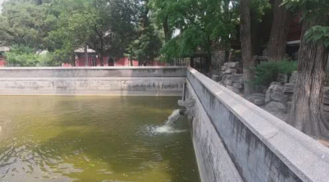 大觉寺的放生池，池子里边有锦鲤，得有200到300条