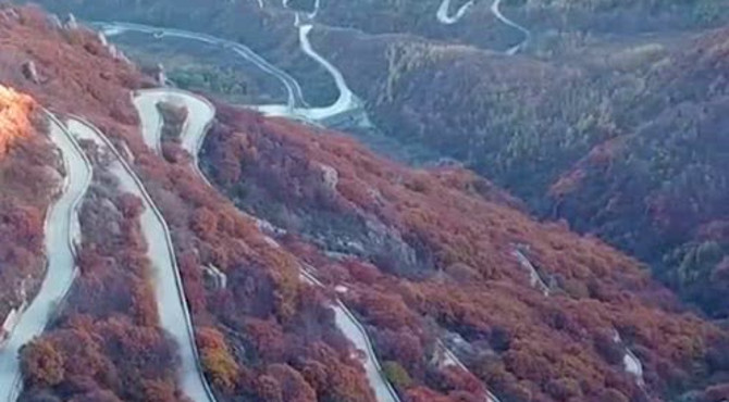 百花山红叶与盘山公路的完美结合，看起来真的是太舒服了，这是自然的杰作！