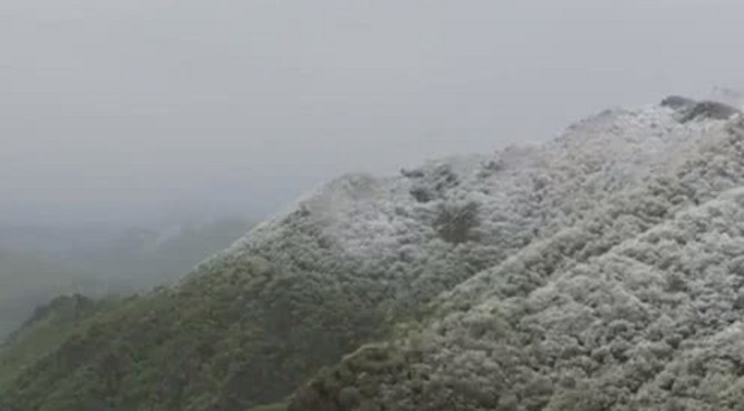 罕见！北京百花山五月飞雪 山下绿意盎然山顶白雪皑皑