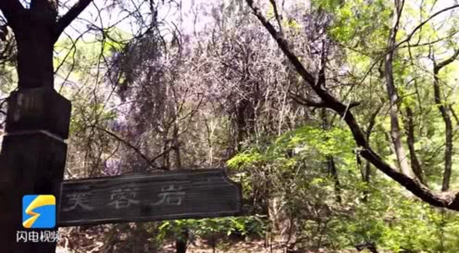 山水皆美景 草木皆有情！探访曲阜石门山景区 体验“穿越”千年