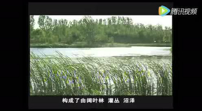 长沟泉水湿地公园纪录片