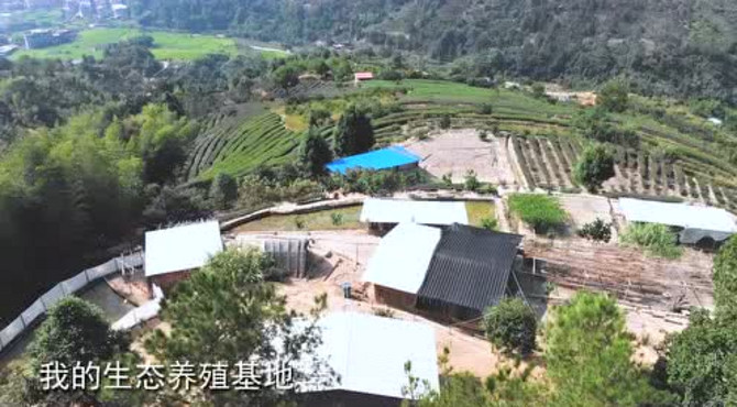 尤溪鸿辰生态带你一起吃鸡