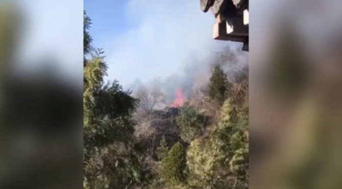 突发！北京百望山森林公园突发山火 现场视频可见明火浓烟