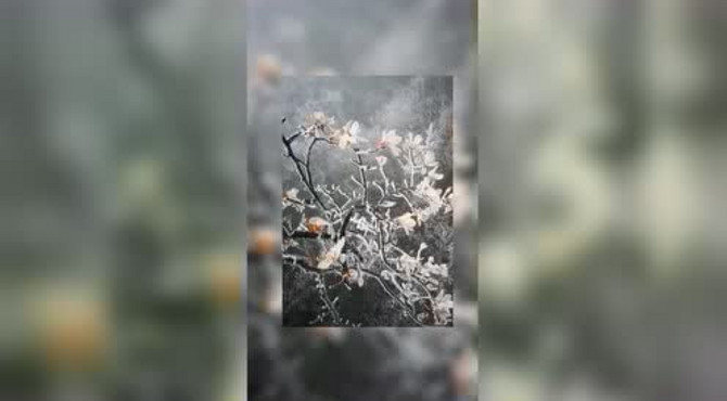 美爆了！张家界天门山国家森林公园下雪了湖南小助手