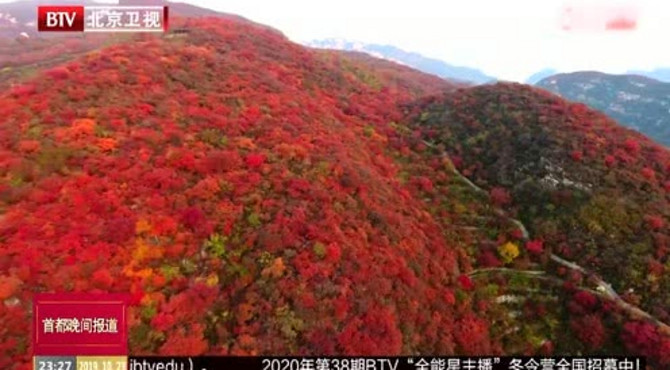 坡峰岭红叶 今起进入最佳观赏时期