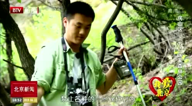 我爱北京 房山区 上方山国家森林公园