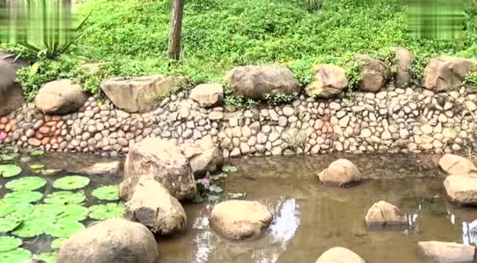 龙潭公园风景