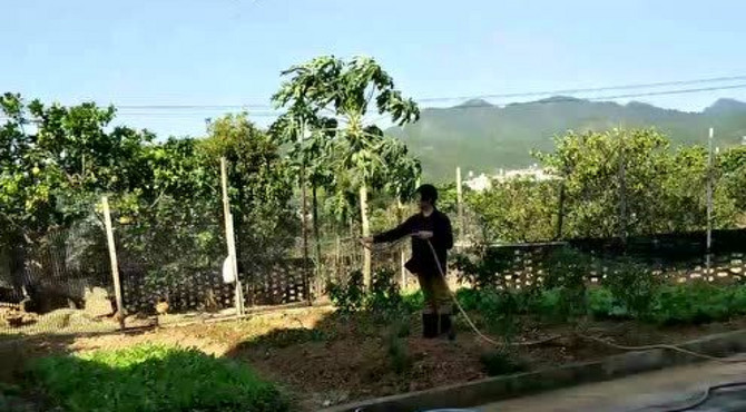 禄米仓卓氏广东烧鹅