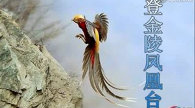 登金陵凤凰台