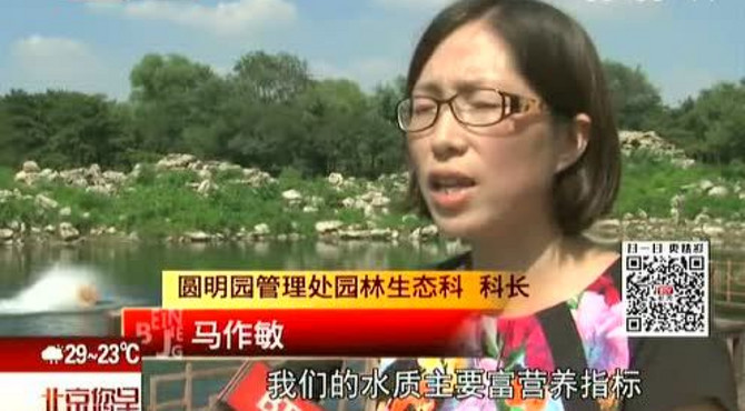 圆明园廓然大公水生态修复工程竣工