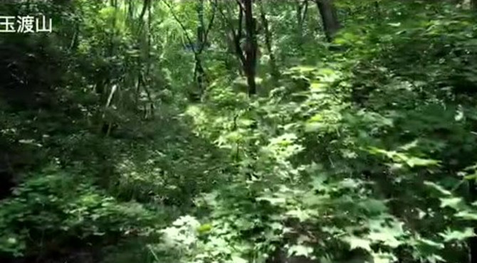 美丽的延庆玉渡山