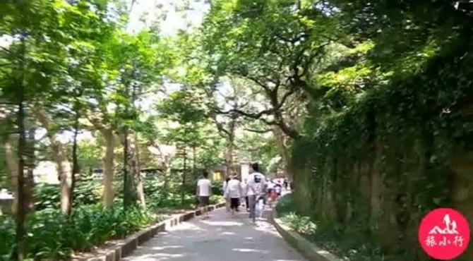 实拍！“海天佛国”普陀山金融街到普济寺沿途风景