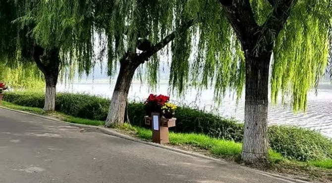 北京通州大运河森林公园（南岸）