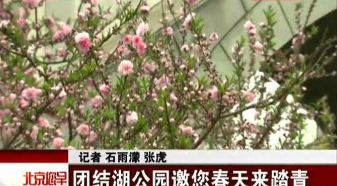 团结湖公园邀您春天来踏青