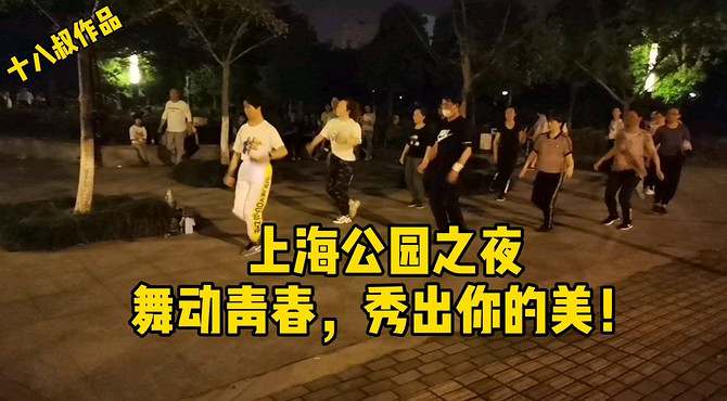 上海社会民生百态，上海之夜，公园之夜，舞动青春，秀出你的美！上海浦东新区航头镇鹤沙航城鹤韵路绿地公园