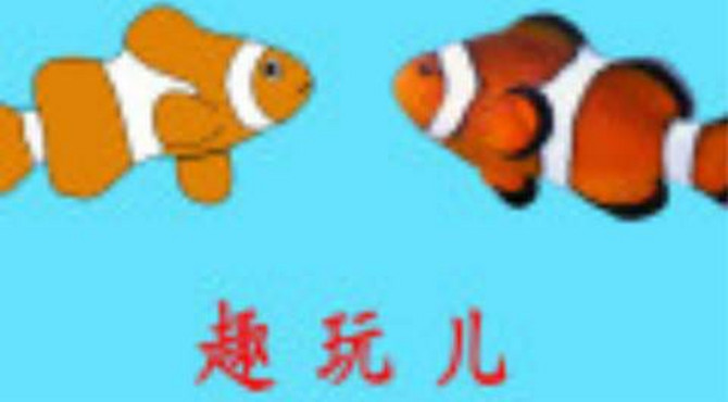 北京密云采摘板栗-小芳