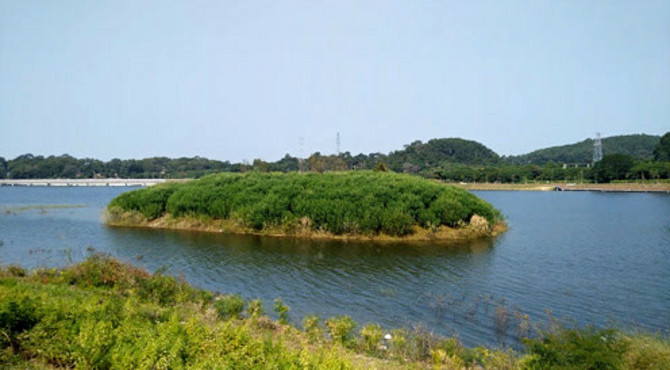 东莞沙溪水库景观公园：碧水青山 美好湿地