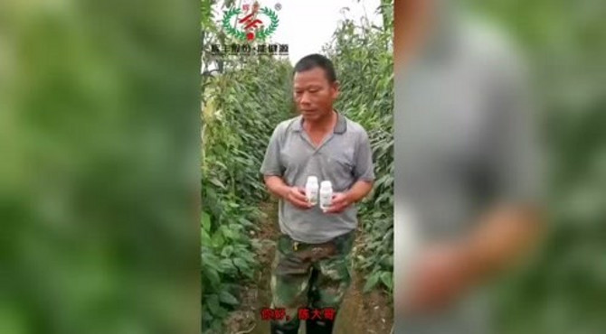 能百旺