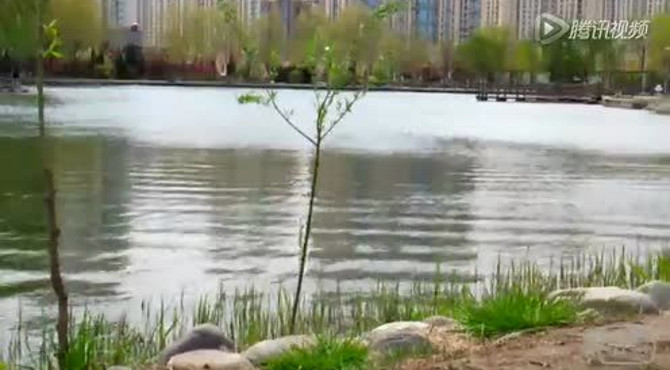 雨后望湖公园