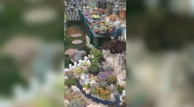 这个后花园真的是太漂亮了，好羡慕这家主人的生活啊！