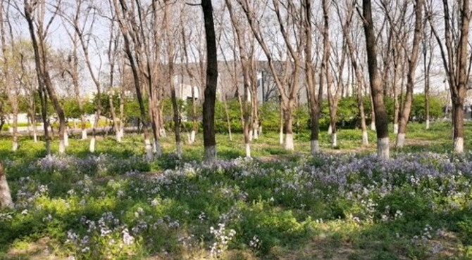 京城槐园，北京周末好去处