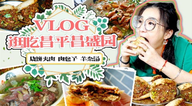 【小猪猪特能吃】昌平昌盛园逛吃VLOG，比嘴大的烧饼夹肉，肉包子揪片儿一起吃！