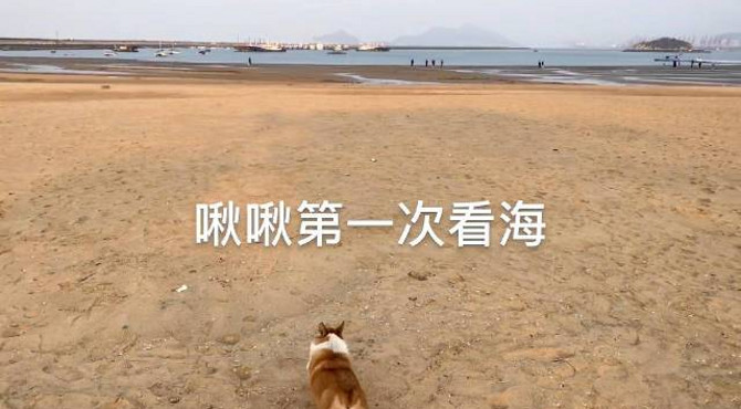 春游 连云港·在海一方公园...