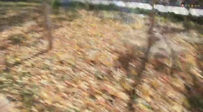 万丰公园4免门票，自行车自由骑行道，各种娱乐健身休闲首选