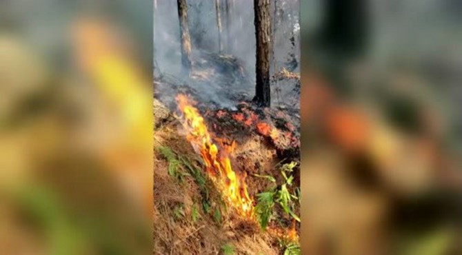 自己家的山林发生火灾，原因已经找到竟然是本地民俗葬山引起的