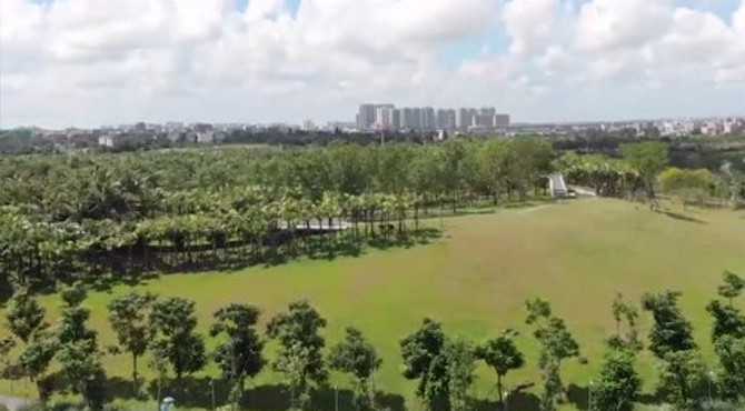 航拍海口凤翔湿地公园，这片清凉的绿色就在你身边