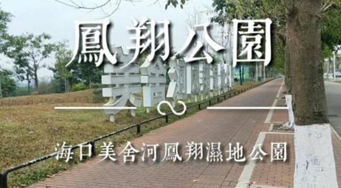 海口美舍河湿地凤翔公园环境蛮好的，是候鸟们的天堂。