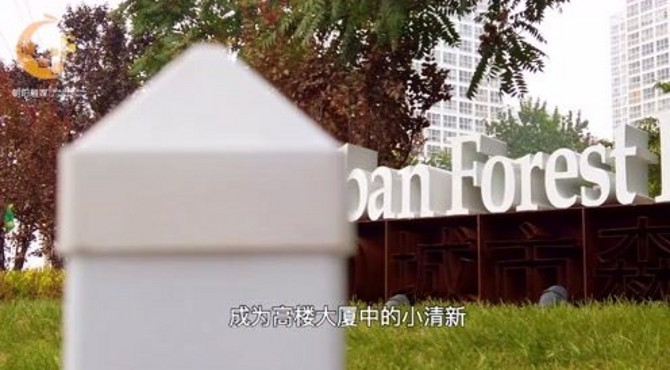 北京CBD有个城市森林公园