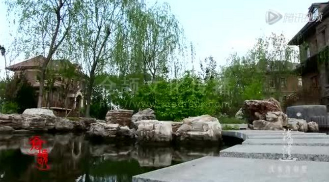浅水湾专题片