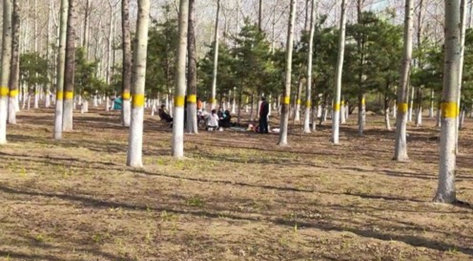 顺义新城滨河森林公园
