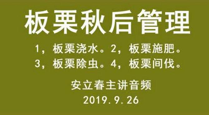 板栗秋后管理
