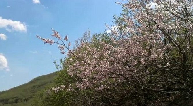 春到卧佛山，佳木斯西郊