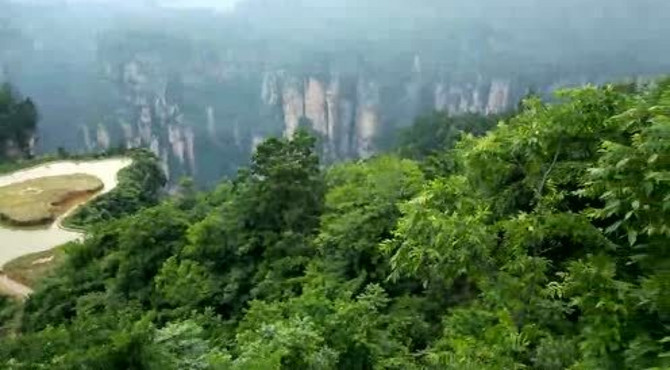 张家界森林公园——空中田园
