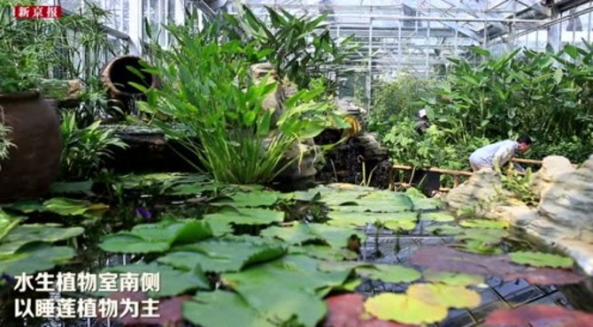 中科院植物研究所北京植物园温室展览馆