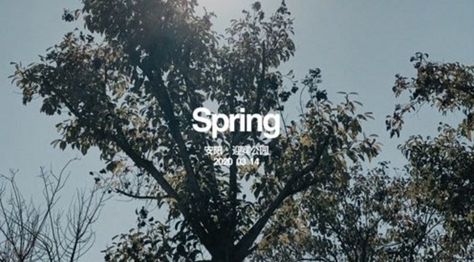 spring 迎宾公园