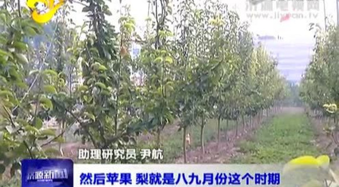 农科院林果花卉创新科技团队：