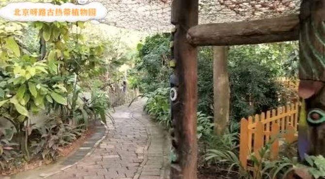 北京呀路古热带植物园