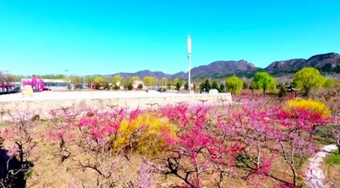 北京市平谷区大华山镇桃花海