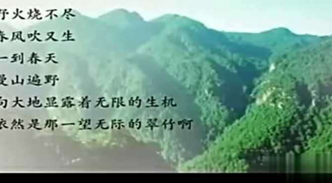 品读《井冈翠竹》