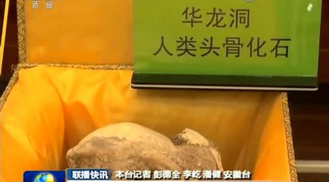 中国新发现一处直立人遗址