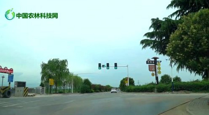 极度舒适！渭河百里画廊，最美的风景都在路上