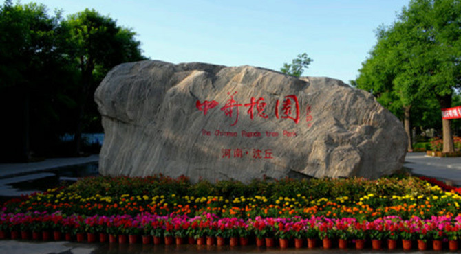 走进3A景点中华槐园，了解槐文化。